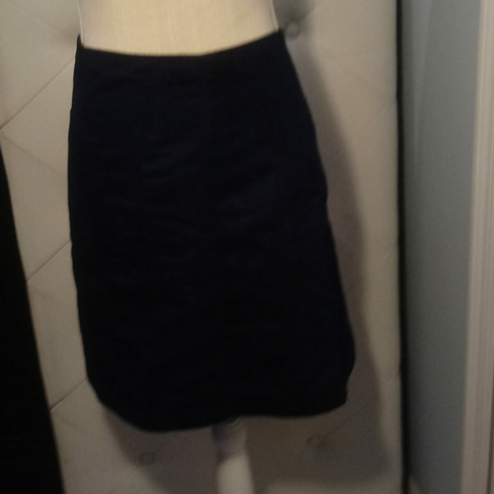 Navy Blue skirt